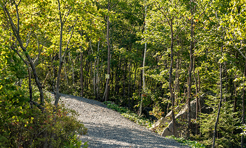 The Trail at Long Lake Provincial Park