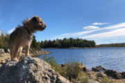 Long Lake Provincial Park – A Walk In The Park